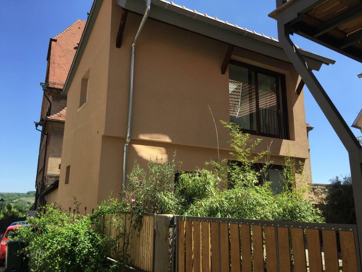 Apartment Am Schlosshof Besigheim Luaran gambar